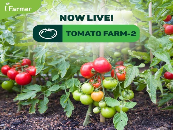 Tomato Farm 2