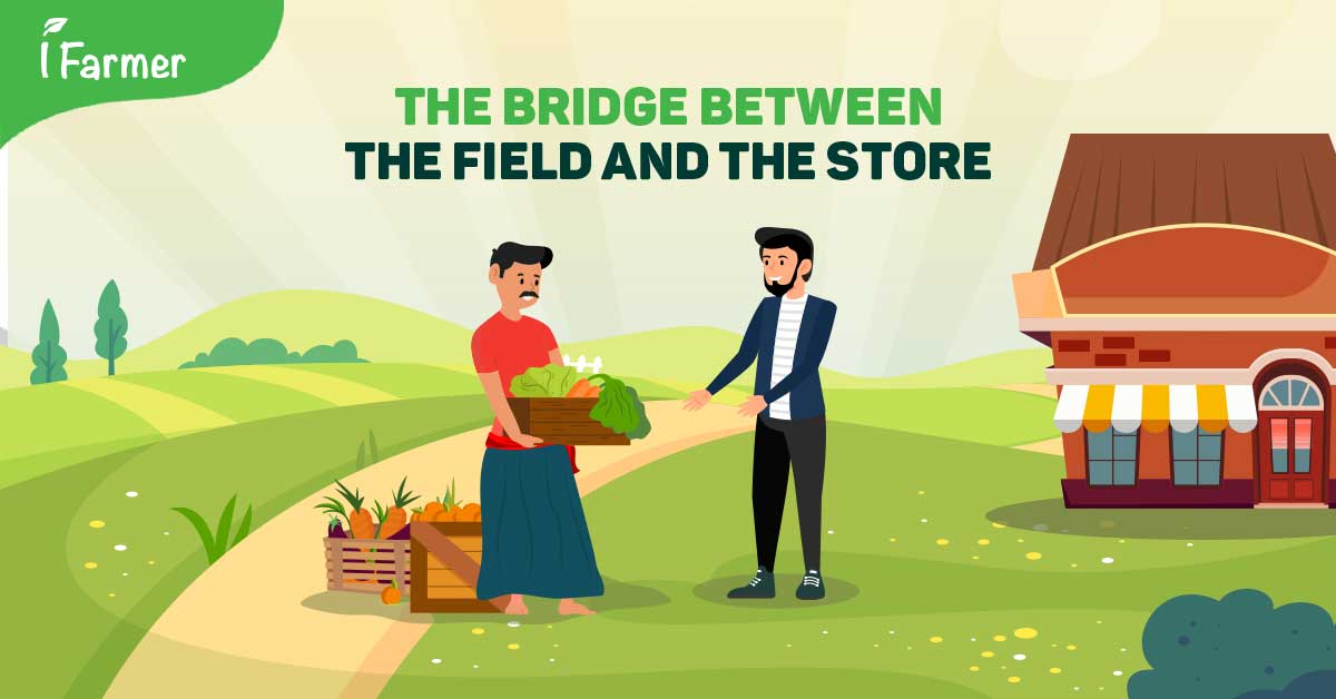 iFarmer: The Bridge Between the Field and the Stores