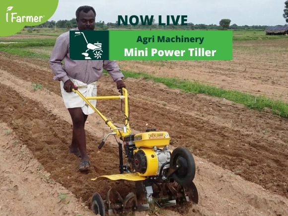 Agri Machinery-Mini Power Tiller 