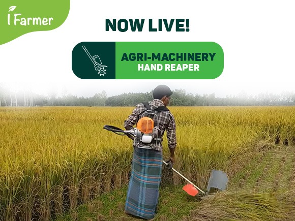 Agri-Machinery - Hand Reaper
