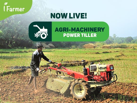Agri- Machinery - Power Tiller
