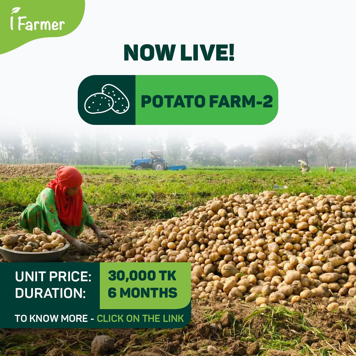 Potato Farm 2